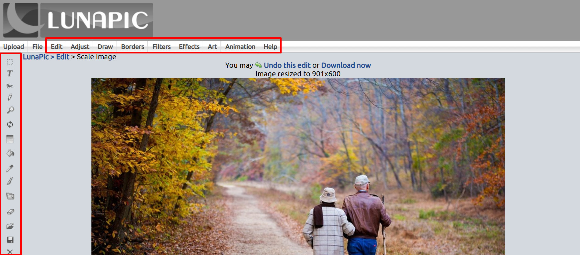 Editing the image in Lunapic image editor