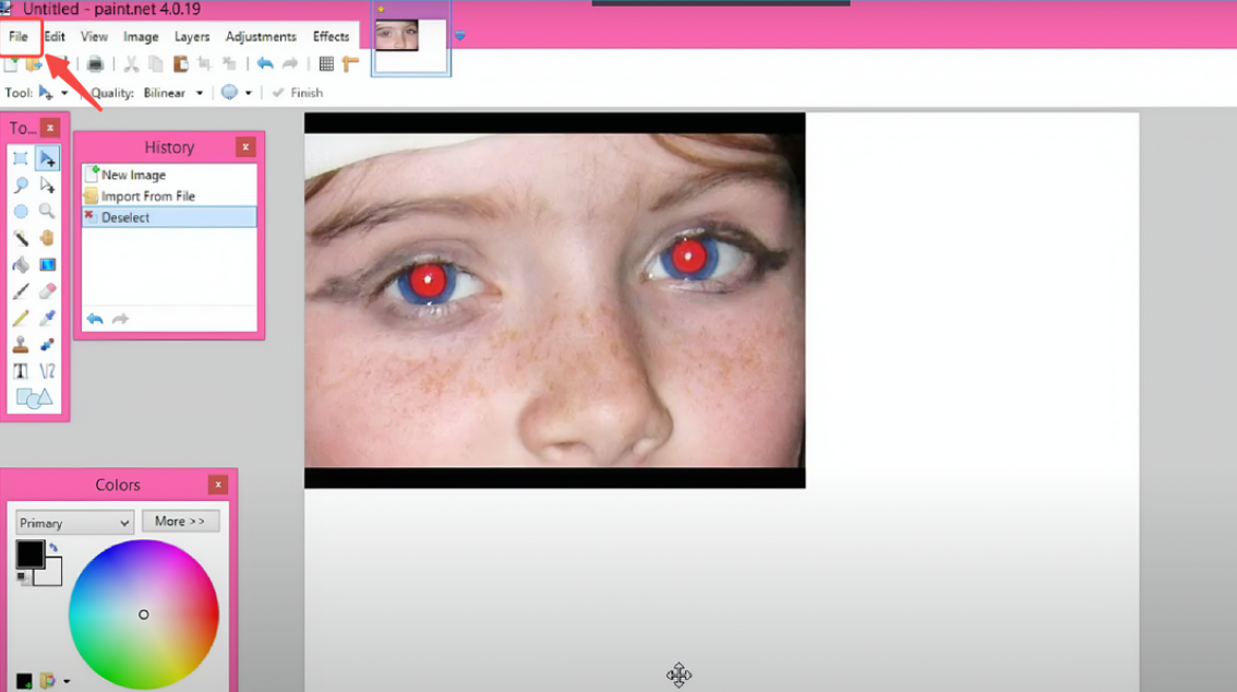 Open your photo in Paint.NET