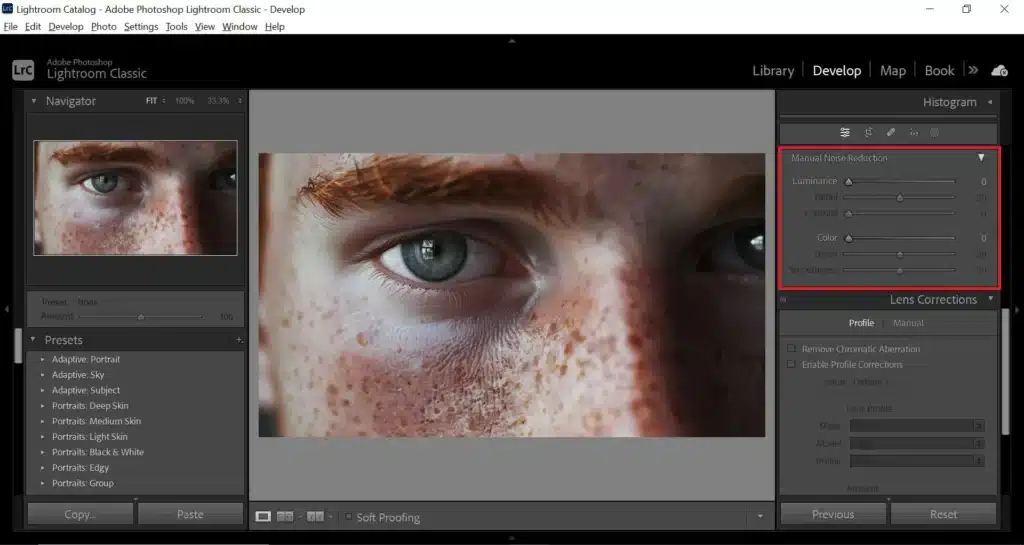 Schnittstelle von Adobe Lightroom - eine schnelle Möglichkeit, Körnigkeit aus Fotos zu entfernen