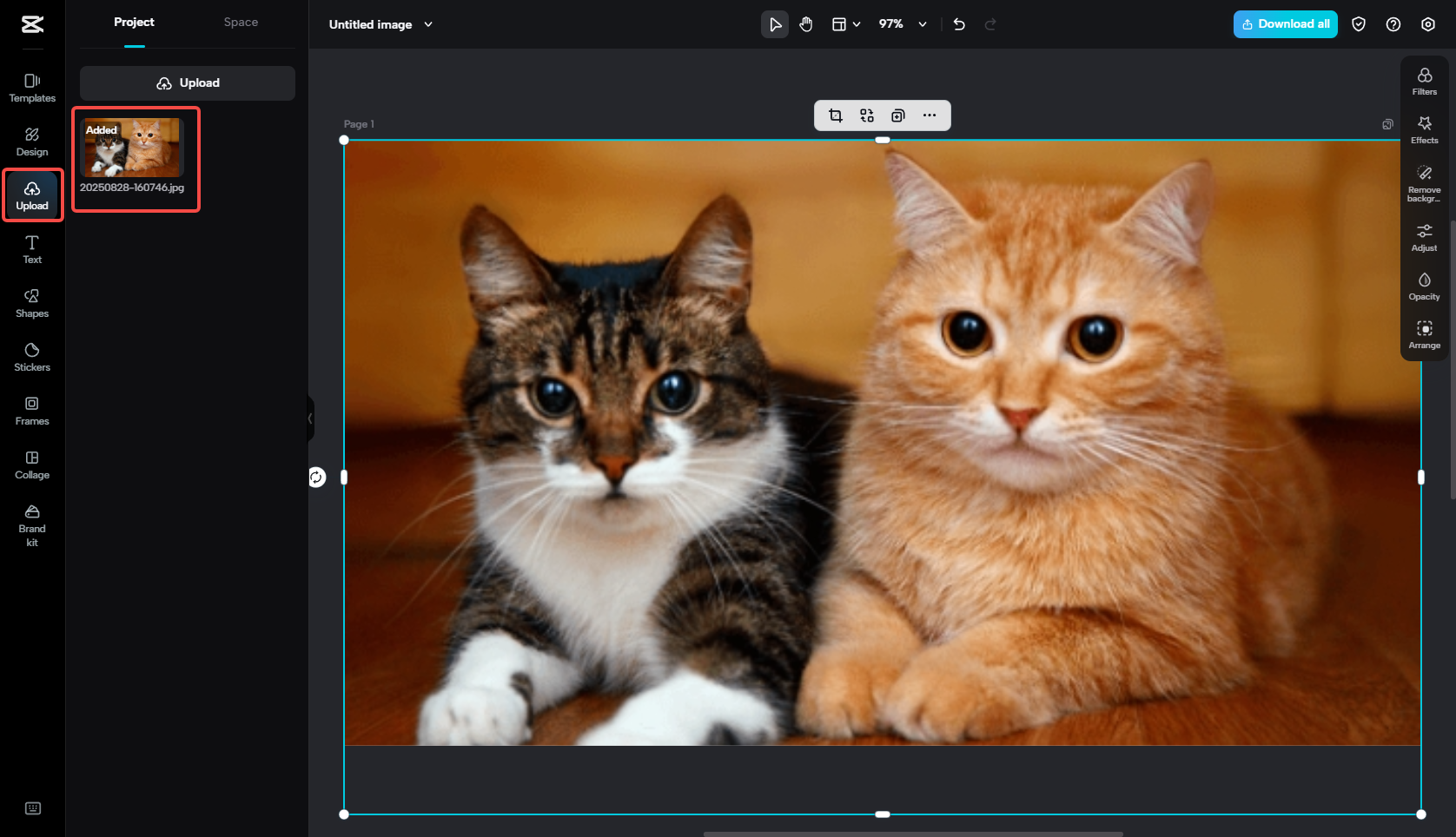 Upload an image to CapCut