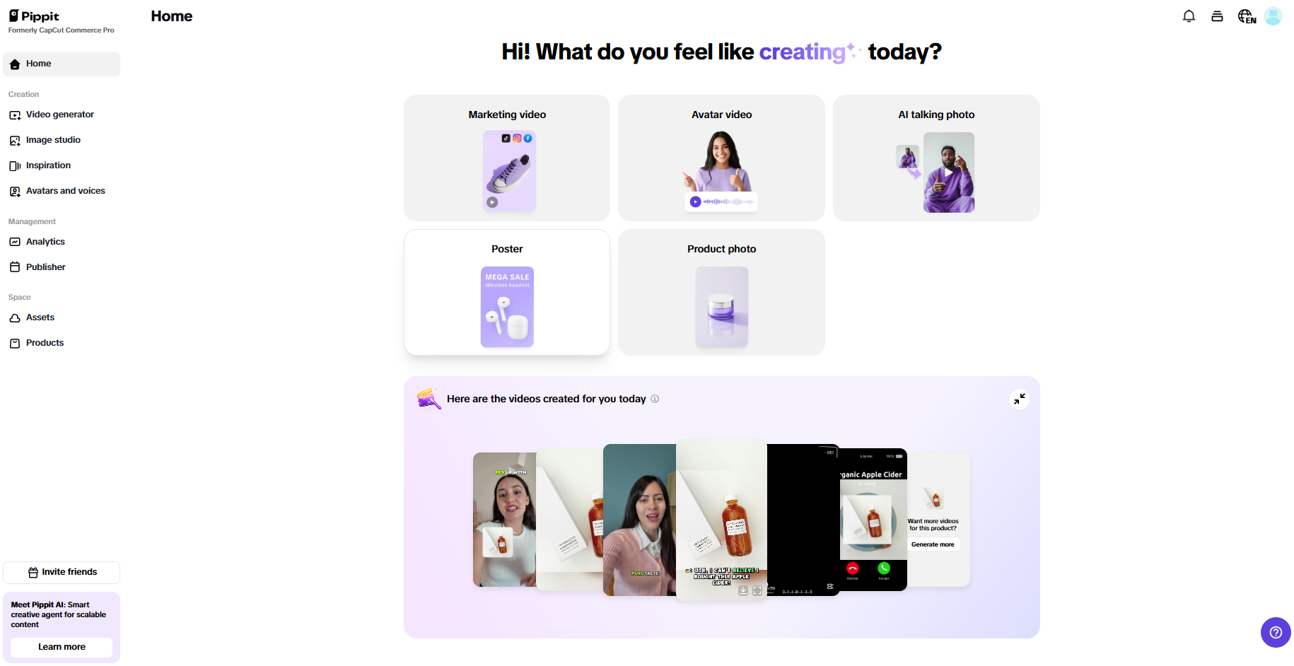 Pippit interface