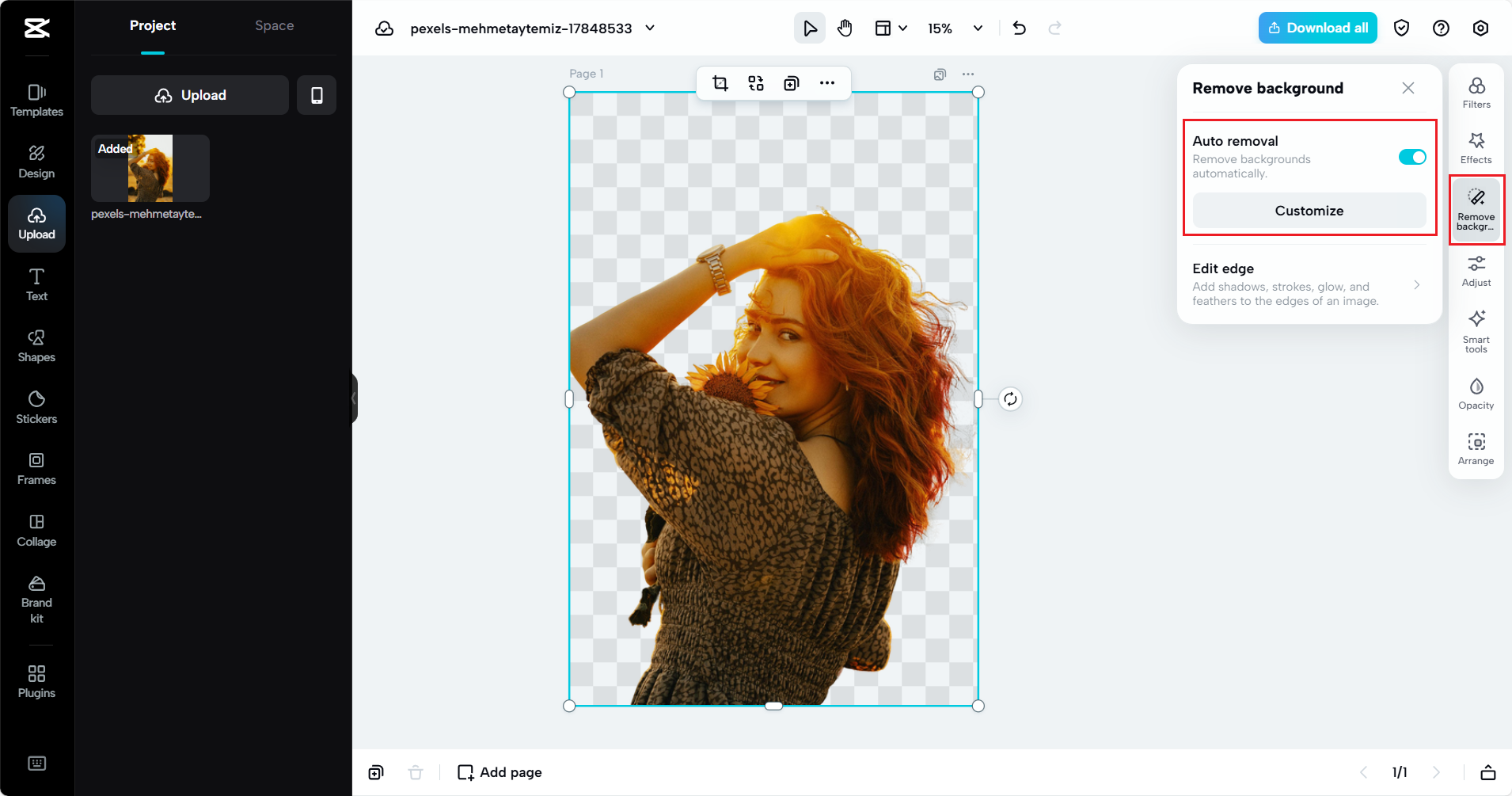 Die Funktion „Hintergrund entfernen“ von CapCut Web auswählen
