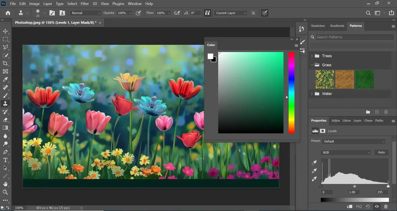 Giao diện Adobe Photoshop
