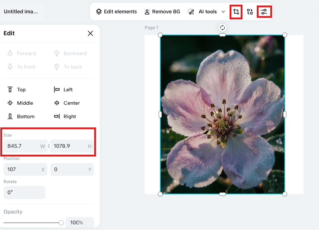 Resize or crop the photo