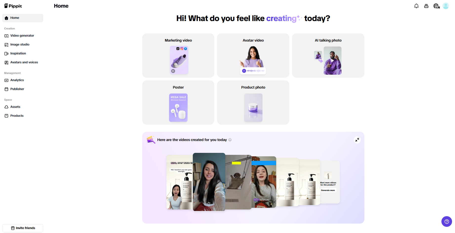 Pippit interface