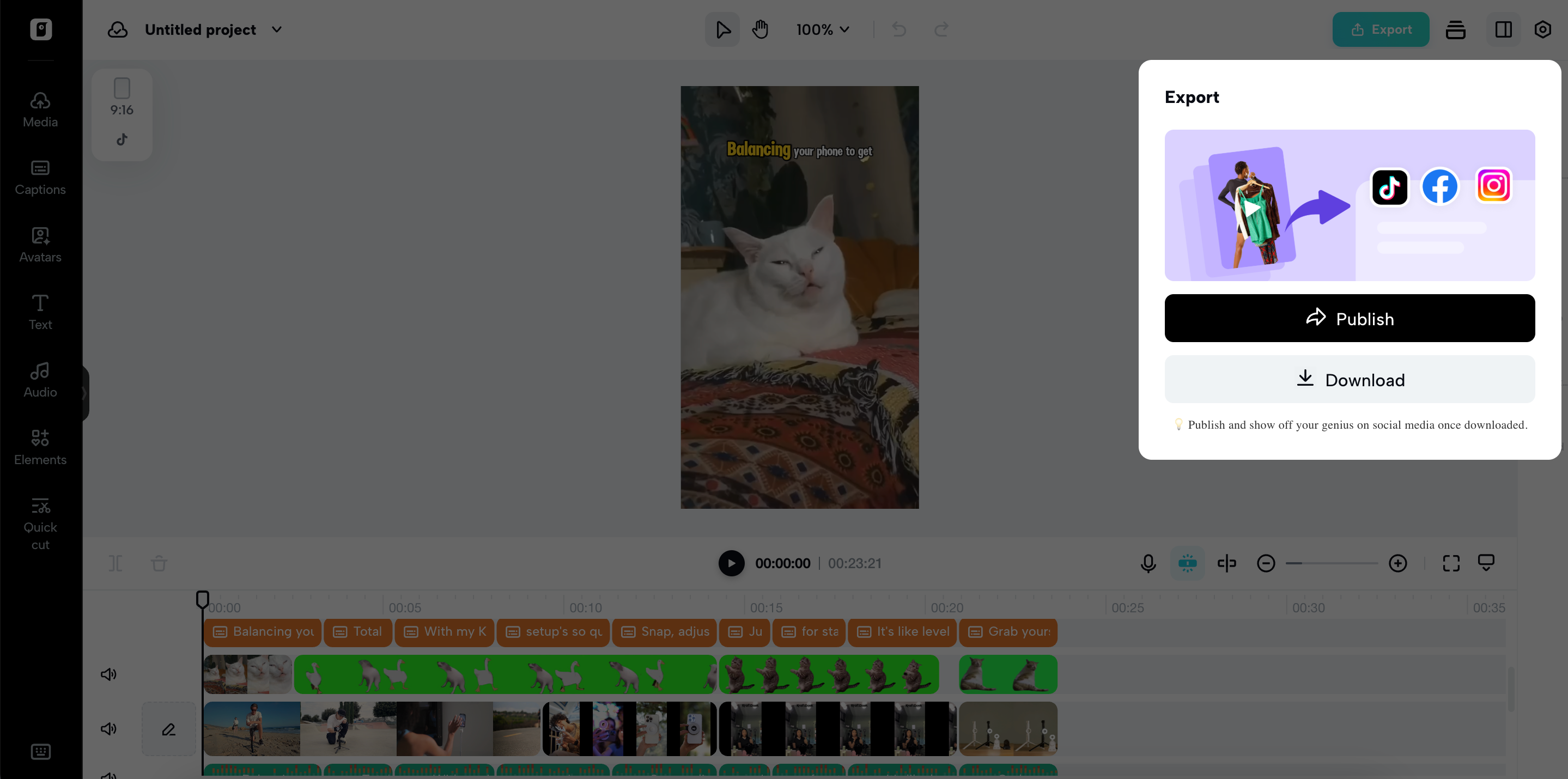 Export your video