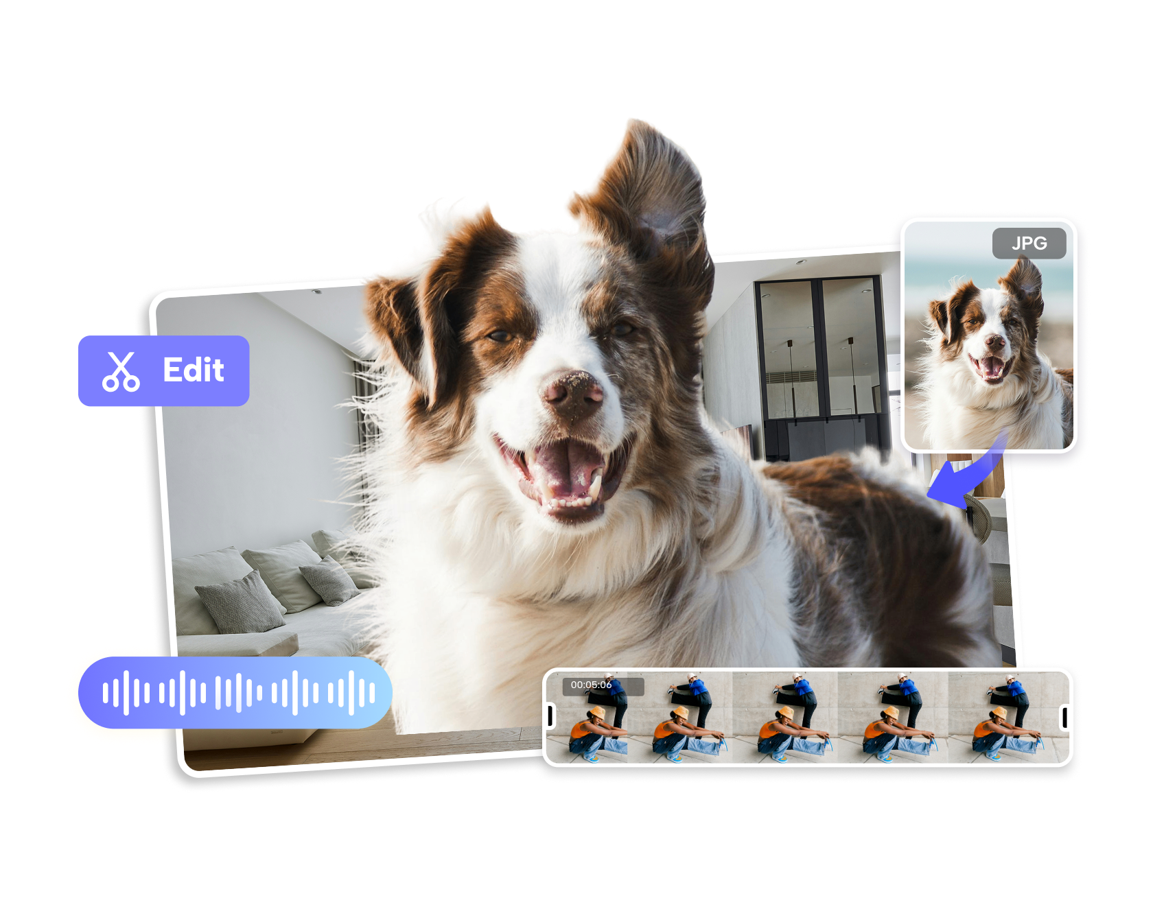 talking dog