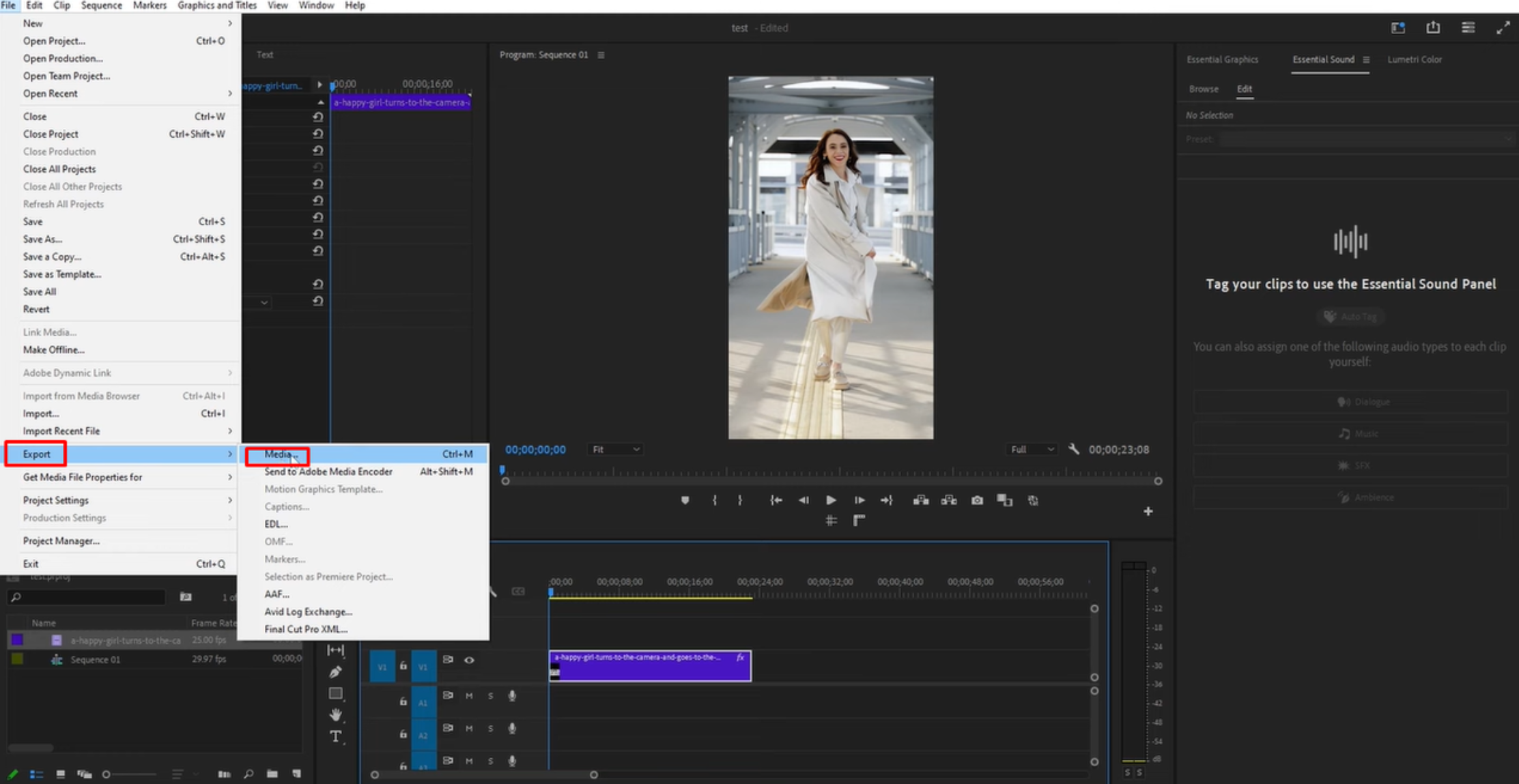 Adjust the export settings