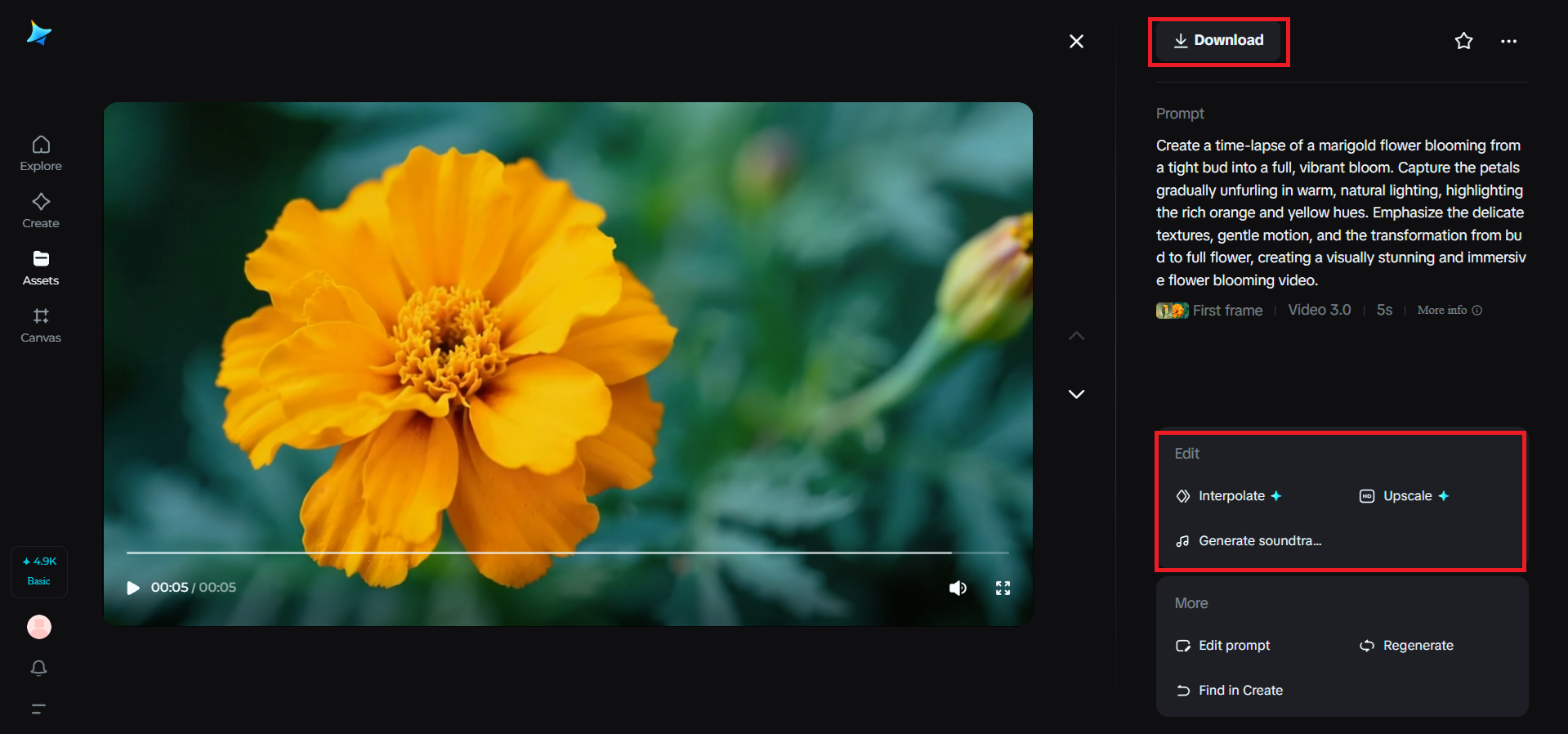Chỉnh sửa và tải xuống
