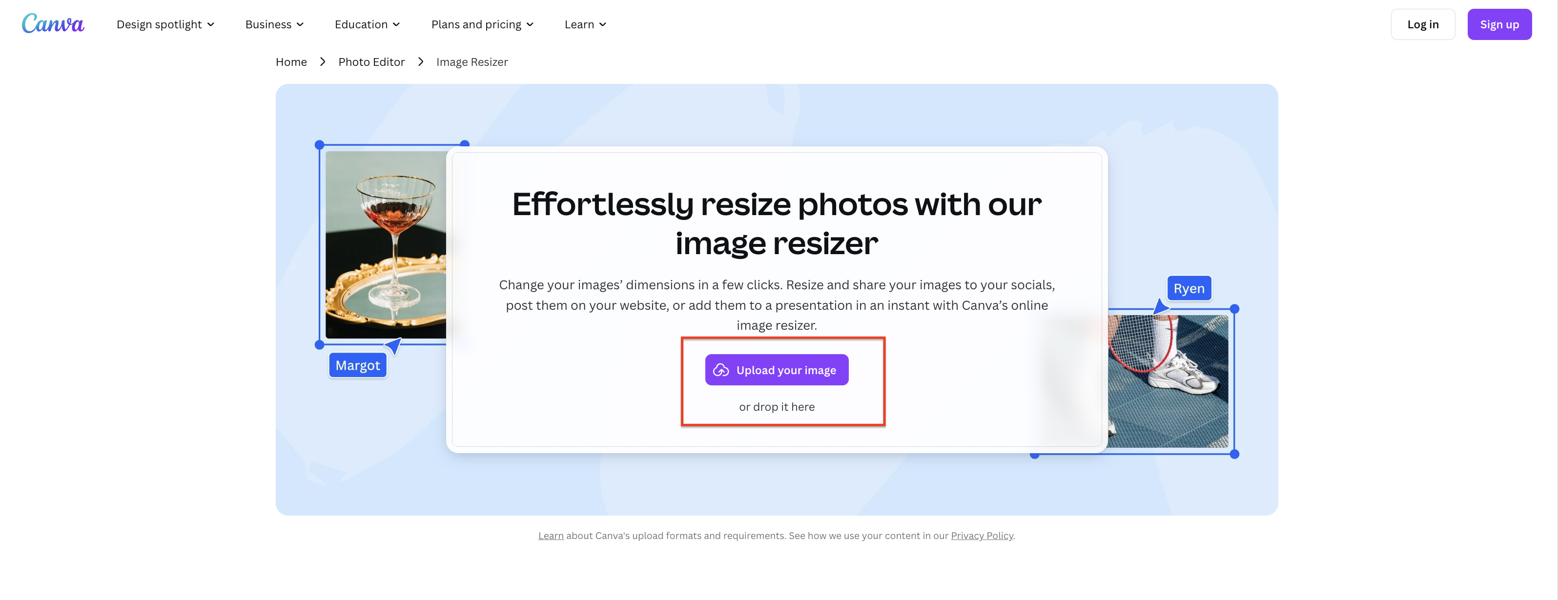 Upload the image in Canva