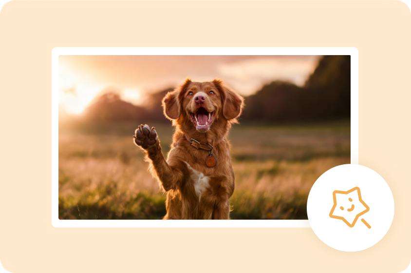 ユニークな特徴を持つ動物をアニメーション化する