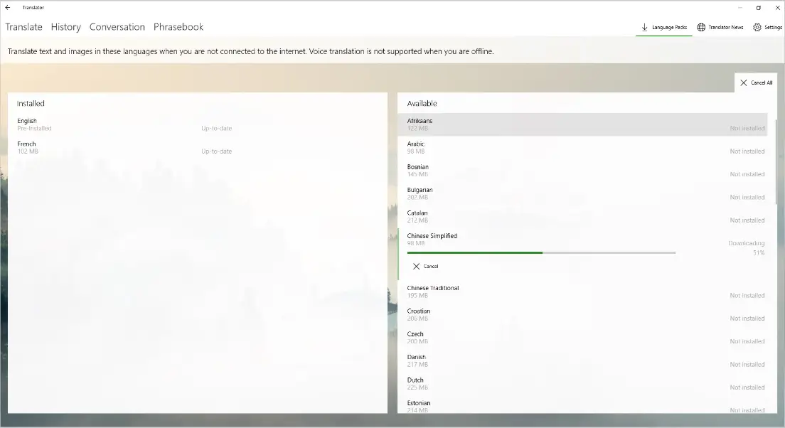 Microsoft Translator interface