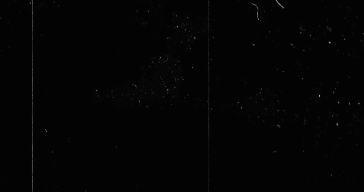 تسرب ضوء VHS الرجعية