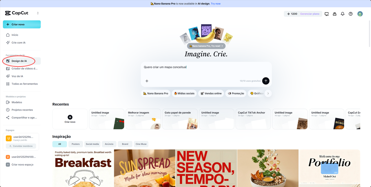 Defina e organize os conceitos principais