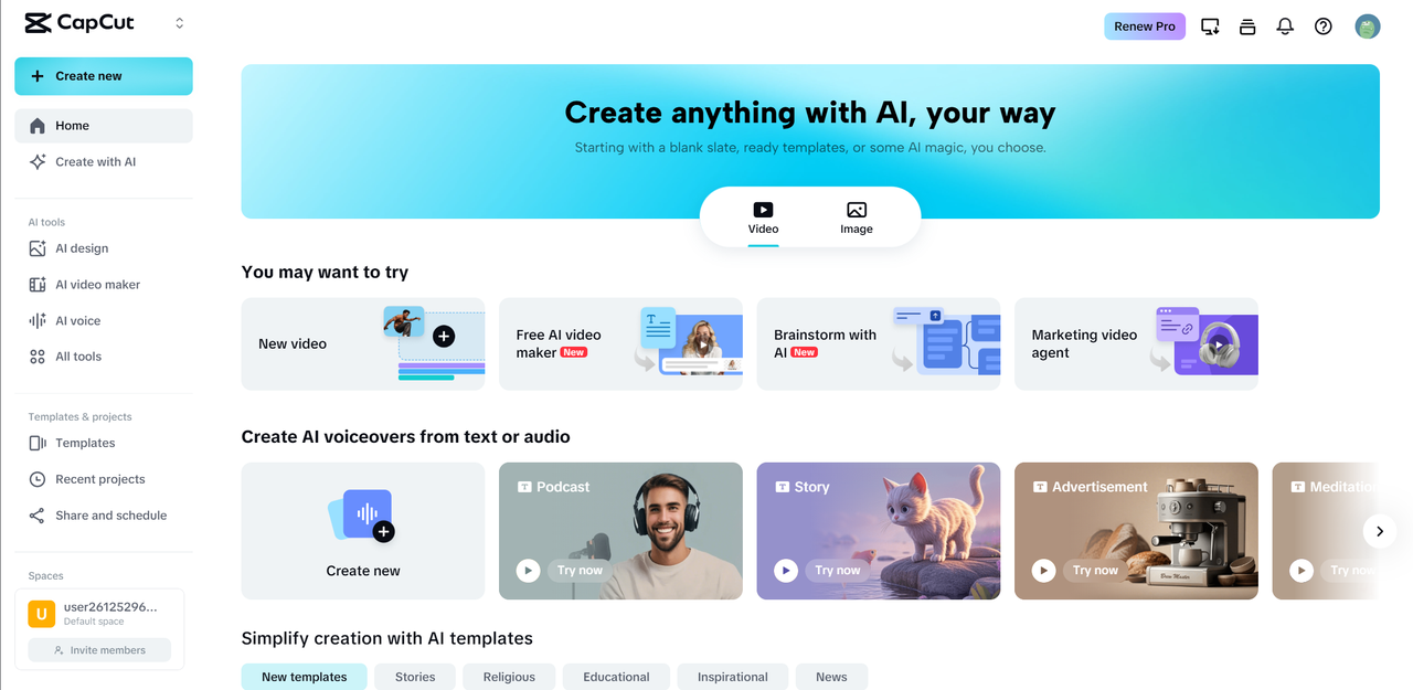 Selection of Carnival content type and insertion of text or images in CapCut Online