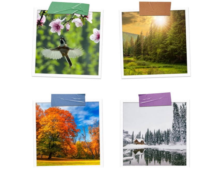 Personal portfolio