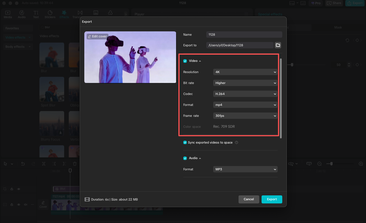 Export Blurred Video