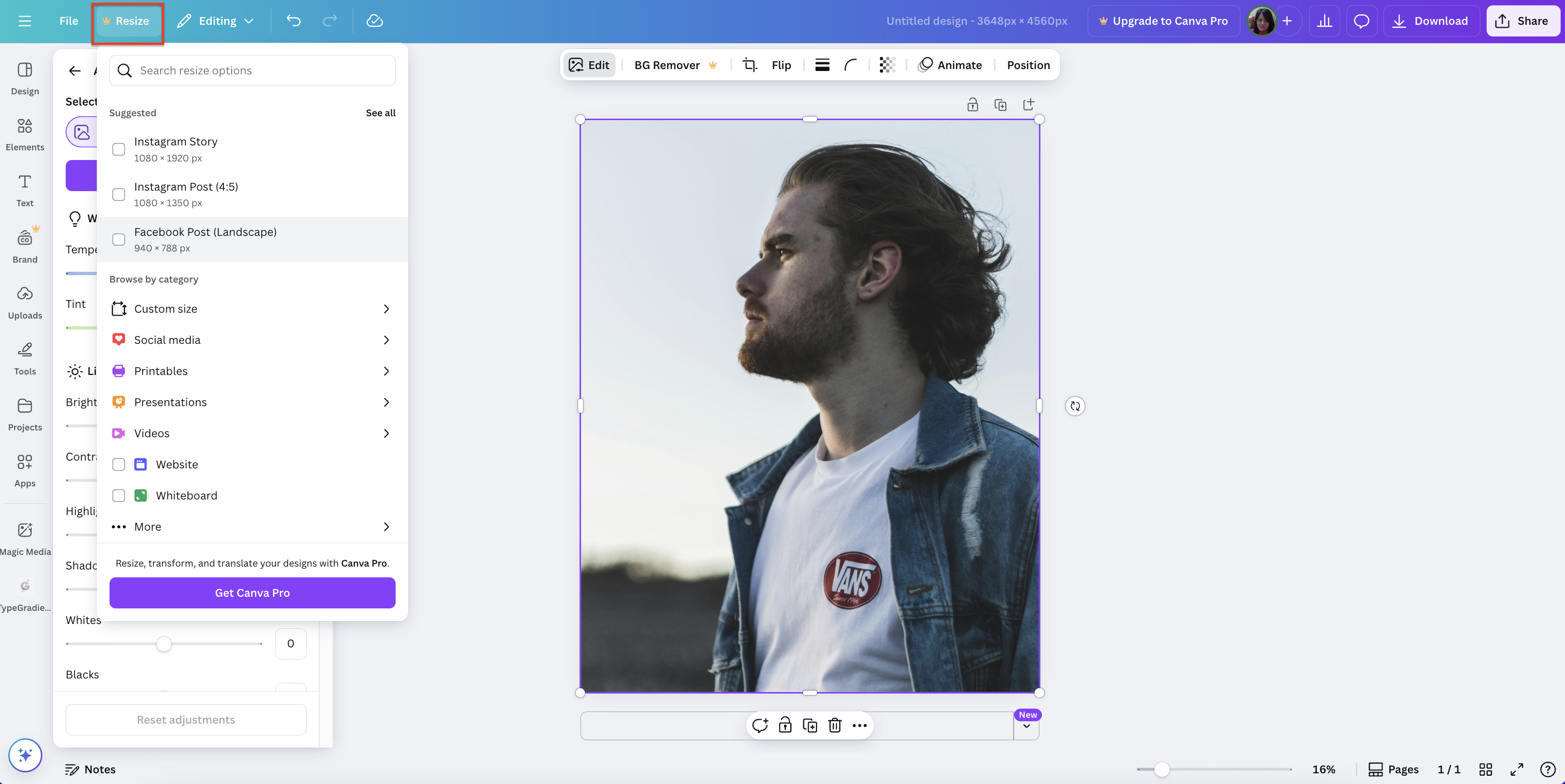Select the resize option