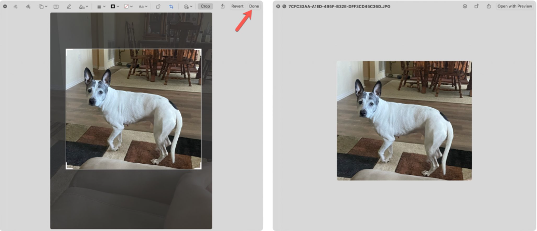 Showing how to crop an image on Mac with Quick Look