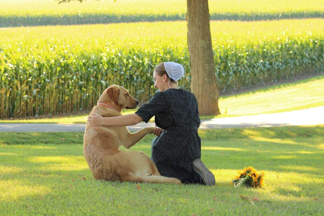 momen emosi anjing menenangkan pemiliknya menunjukkan cinta dan kesetiaan