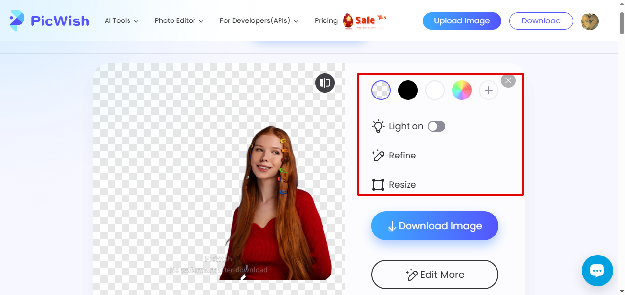 editing image in PicWish