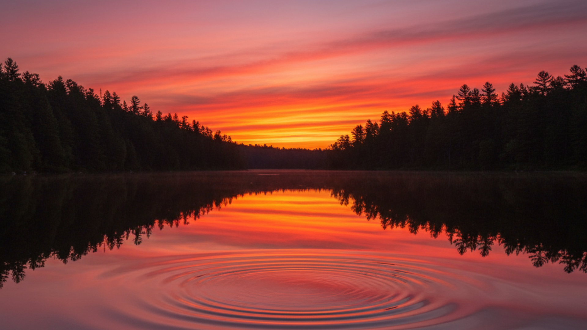 Reflection on water bodies