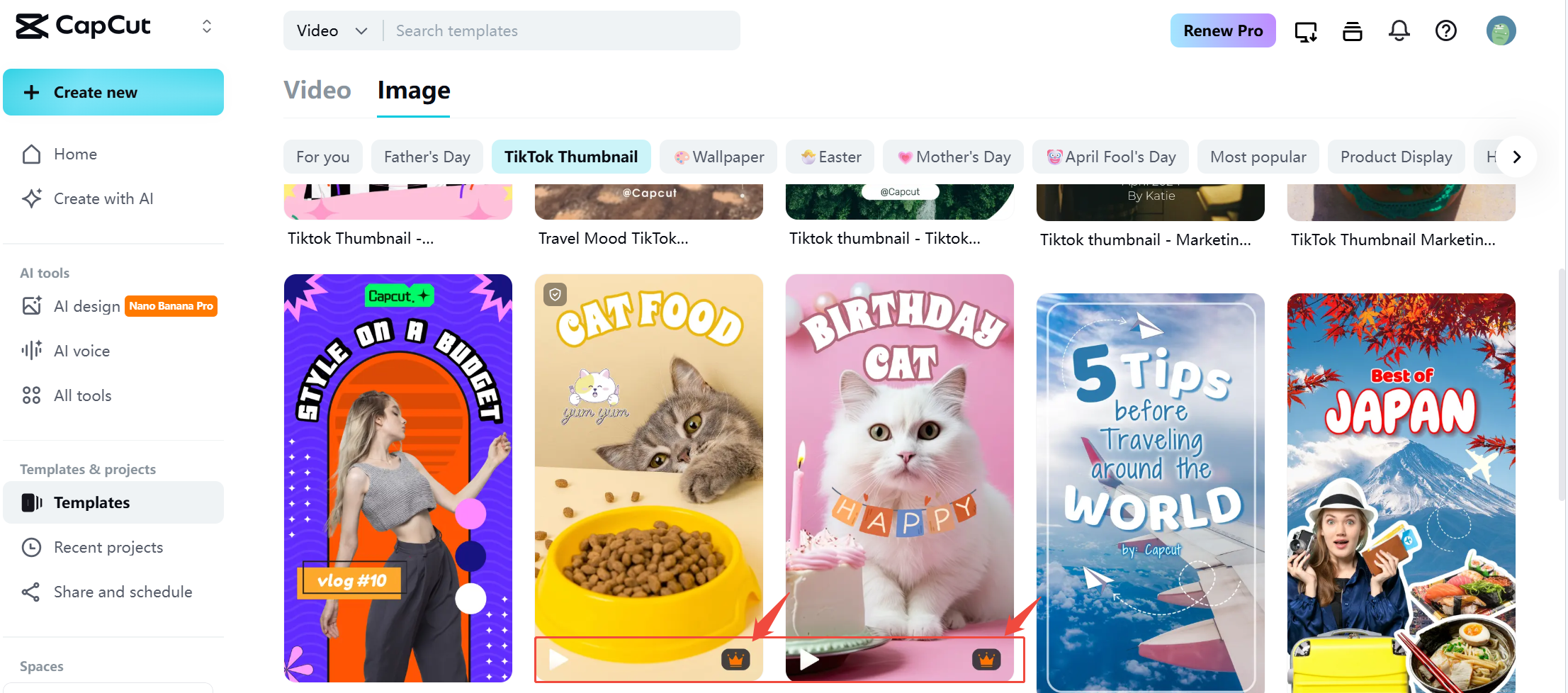 قوالب مدفوعة تأتي مع علامات مائية