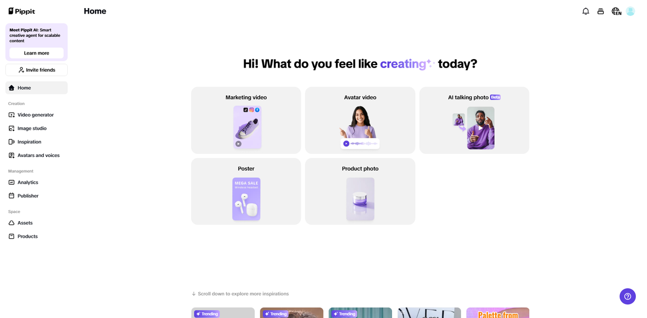 Pippit Interface