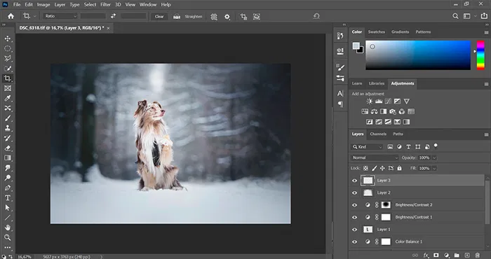 Adobe photoshop interface