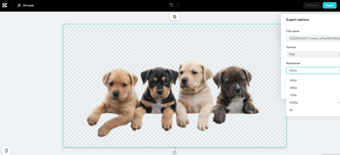 Export your edited image