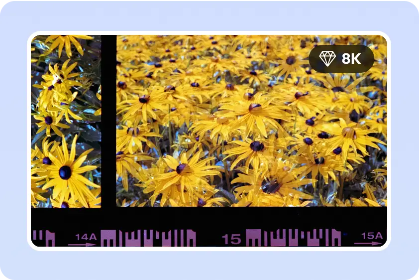 Unique images, even without design experience