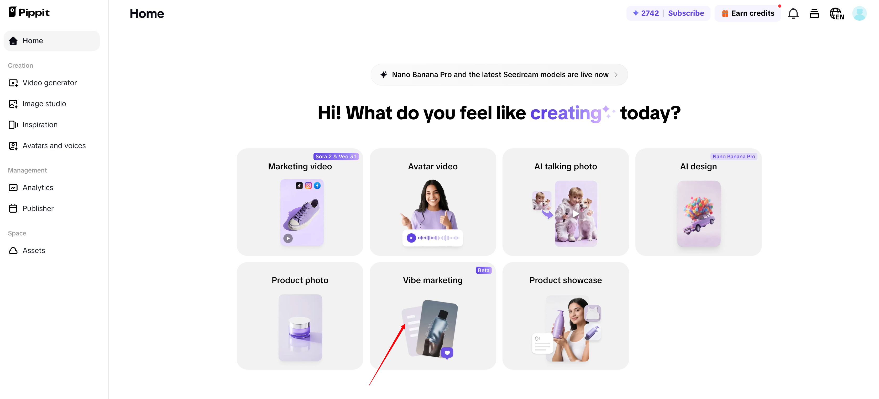 Pippit homepage