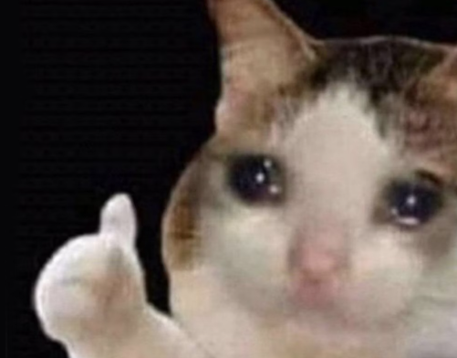 Reaction meme example