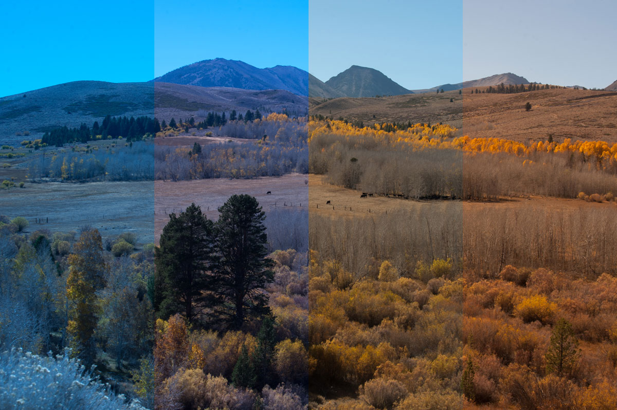 White balance in photography