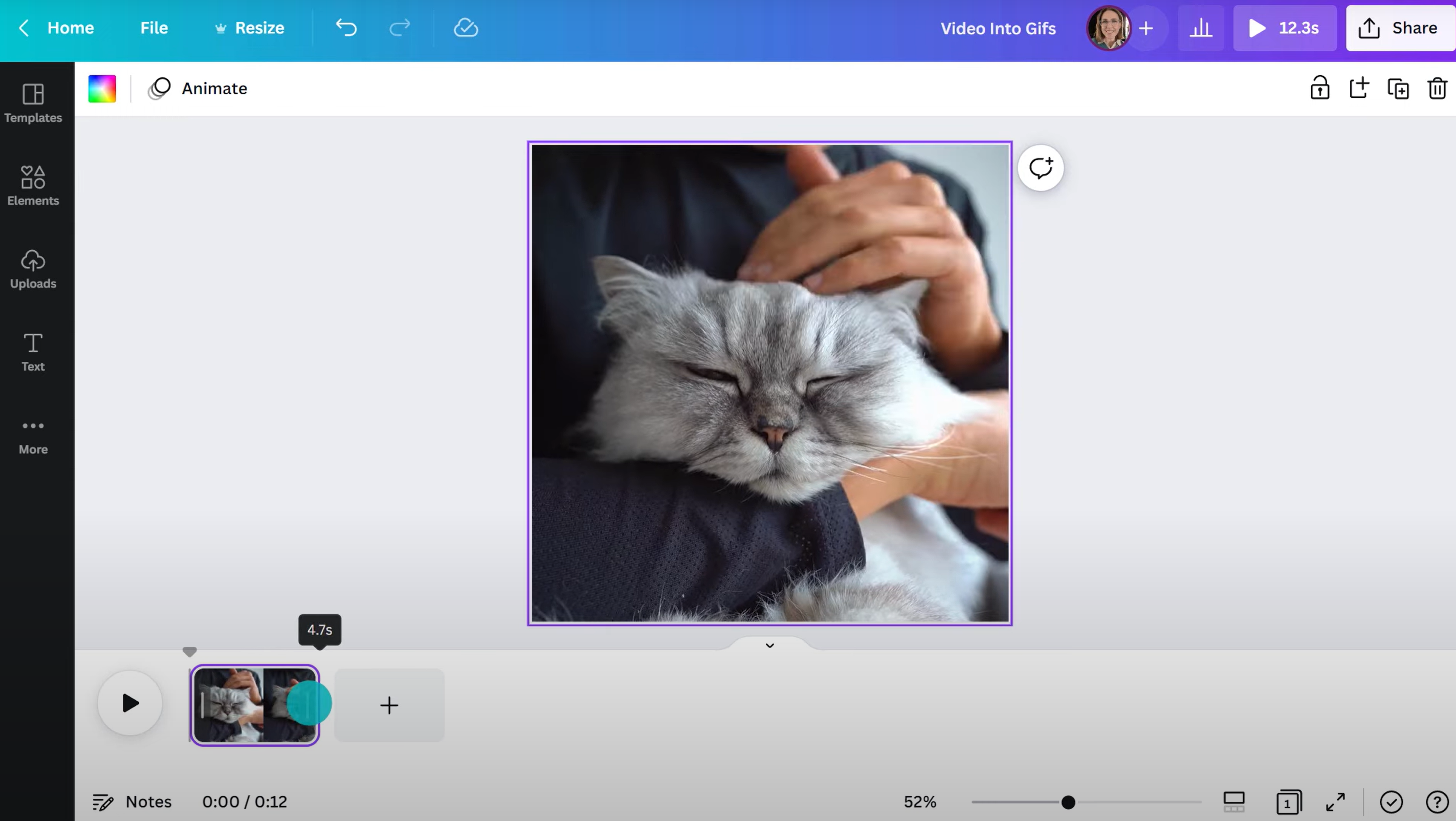 Canva - a beginner-friendly online animated GIF maker