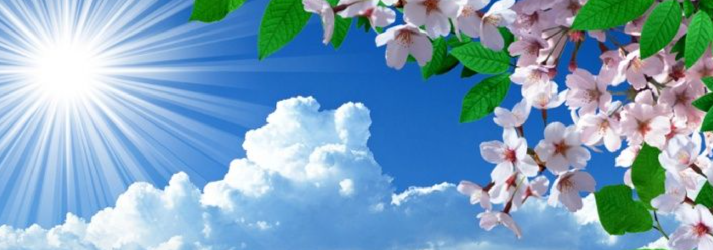 Spring cover photos for Facebook: Spring nature landscape