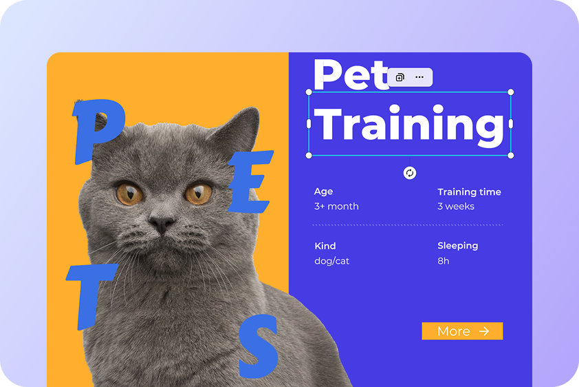 Creative design projects