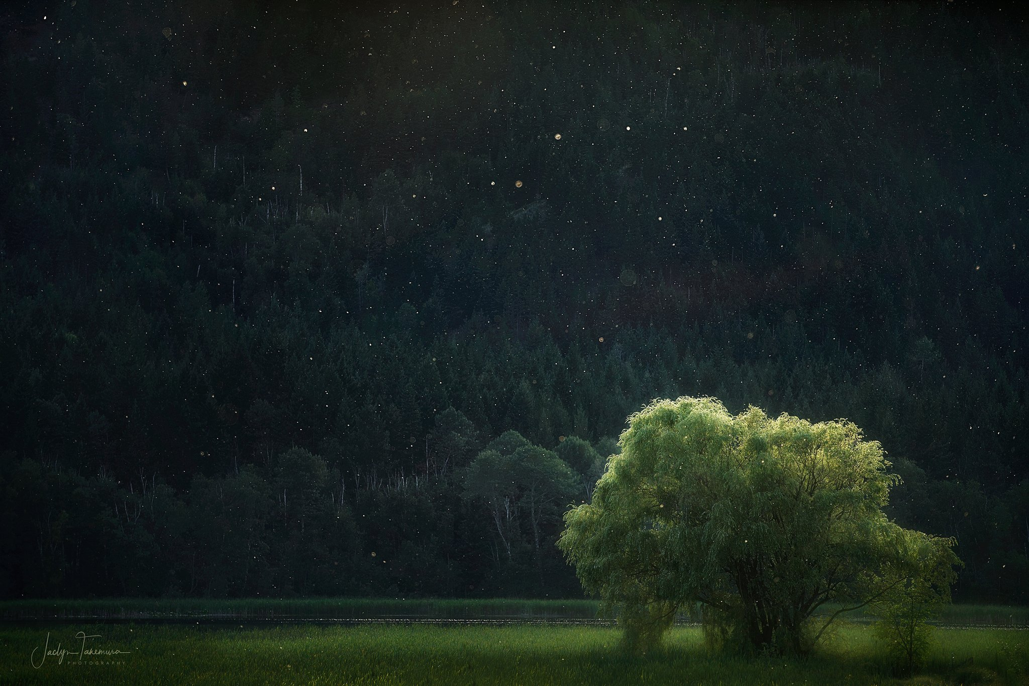 Adding depth to flat - the shallow depth of field example