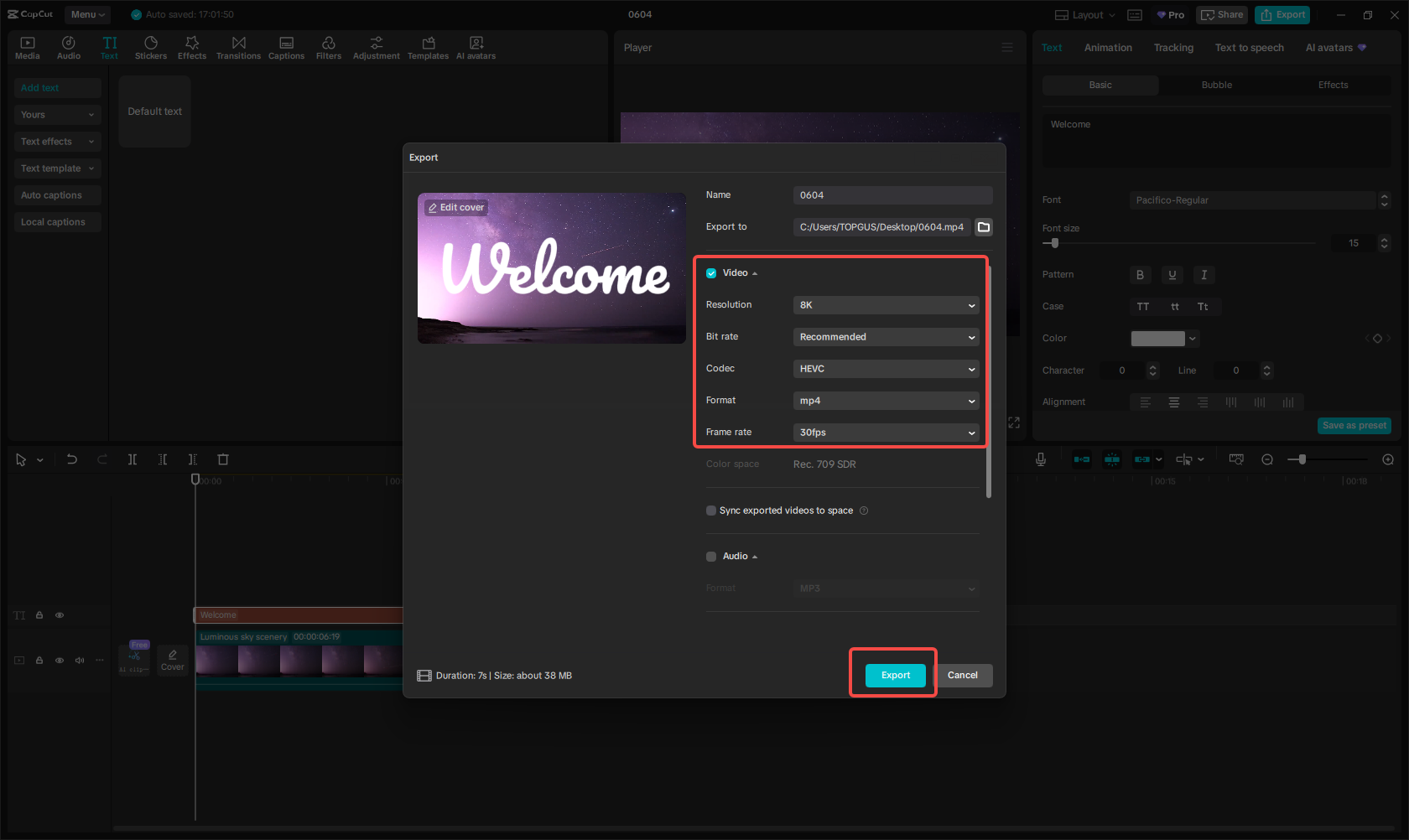 Export the video