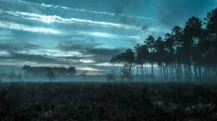 Dramatic landscape shots