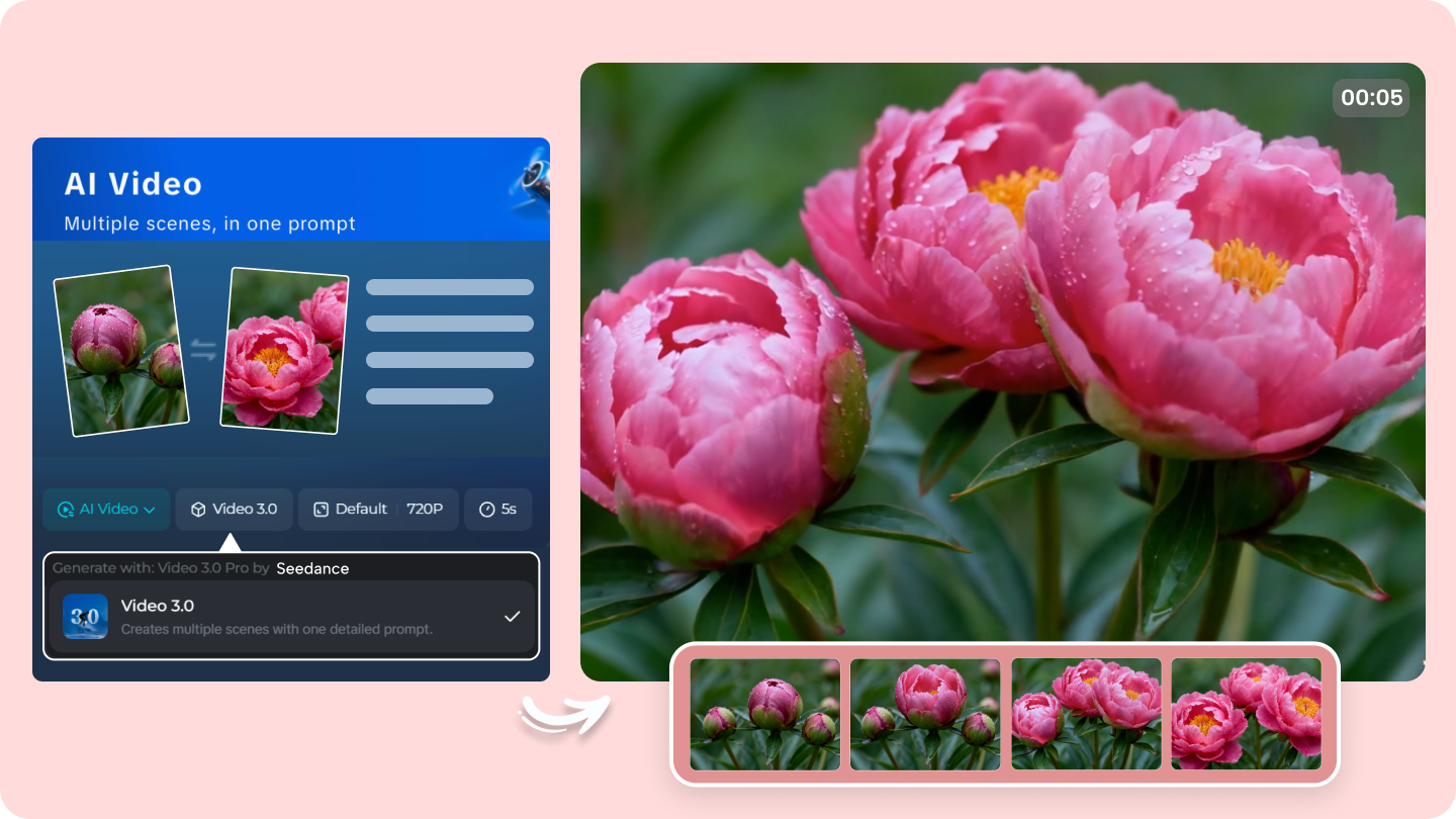 video hoa đang nở