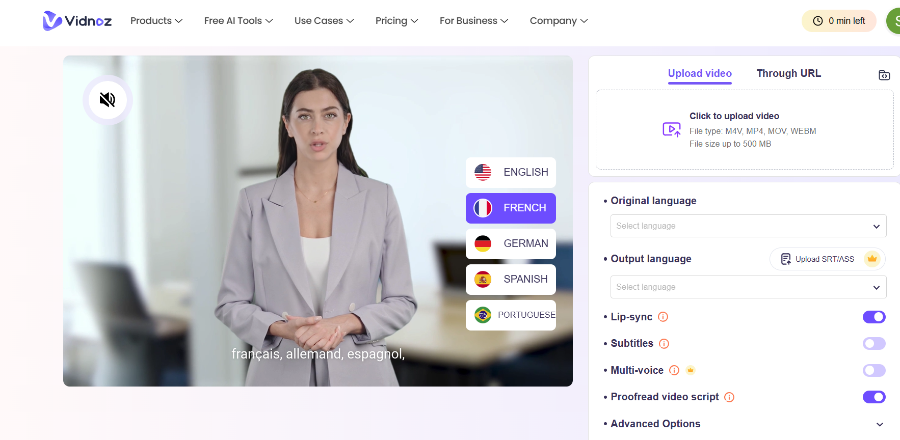 Vidnoz AI video translator free tool online interface