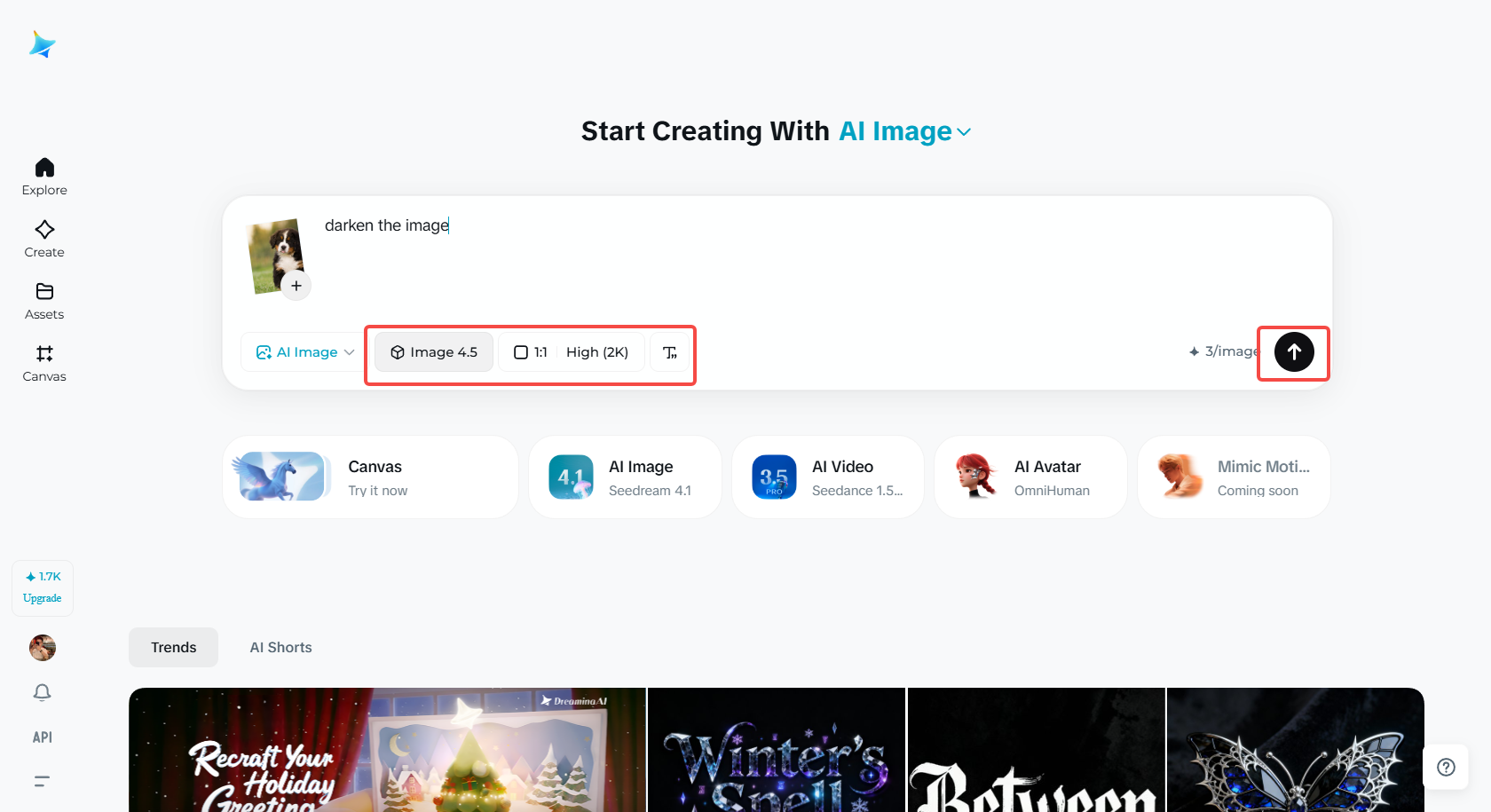 Select the image model and size