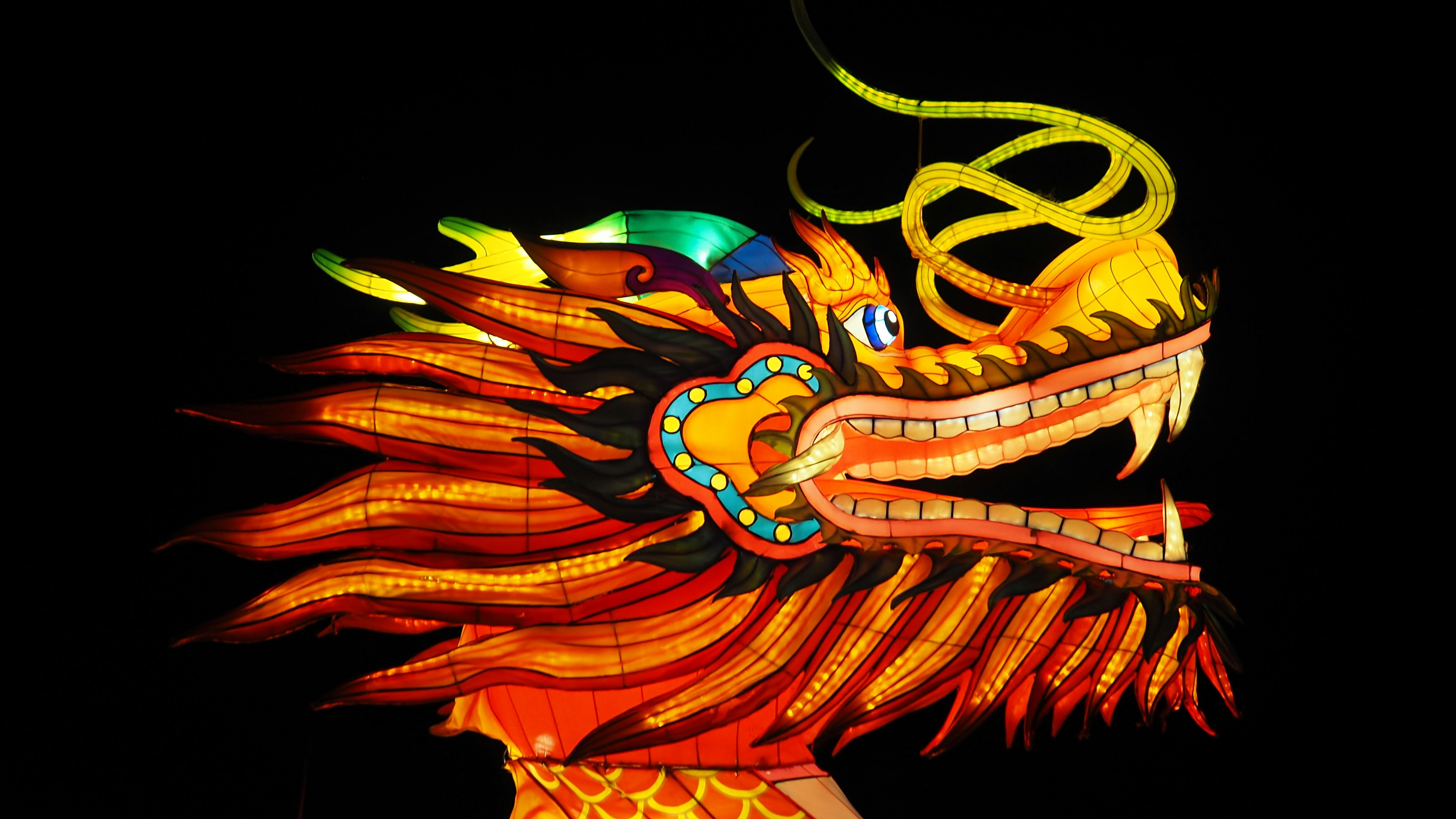 Chinese Happy New Year