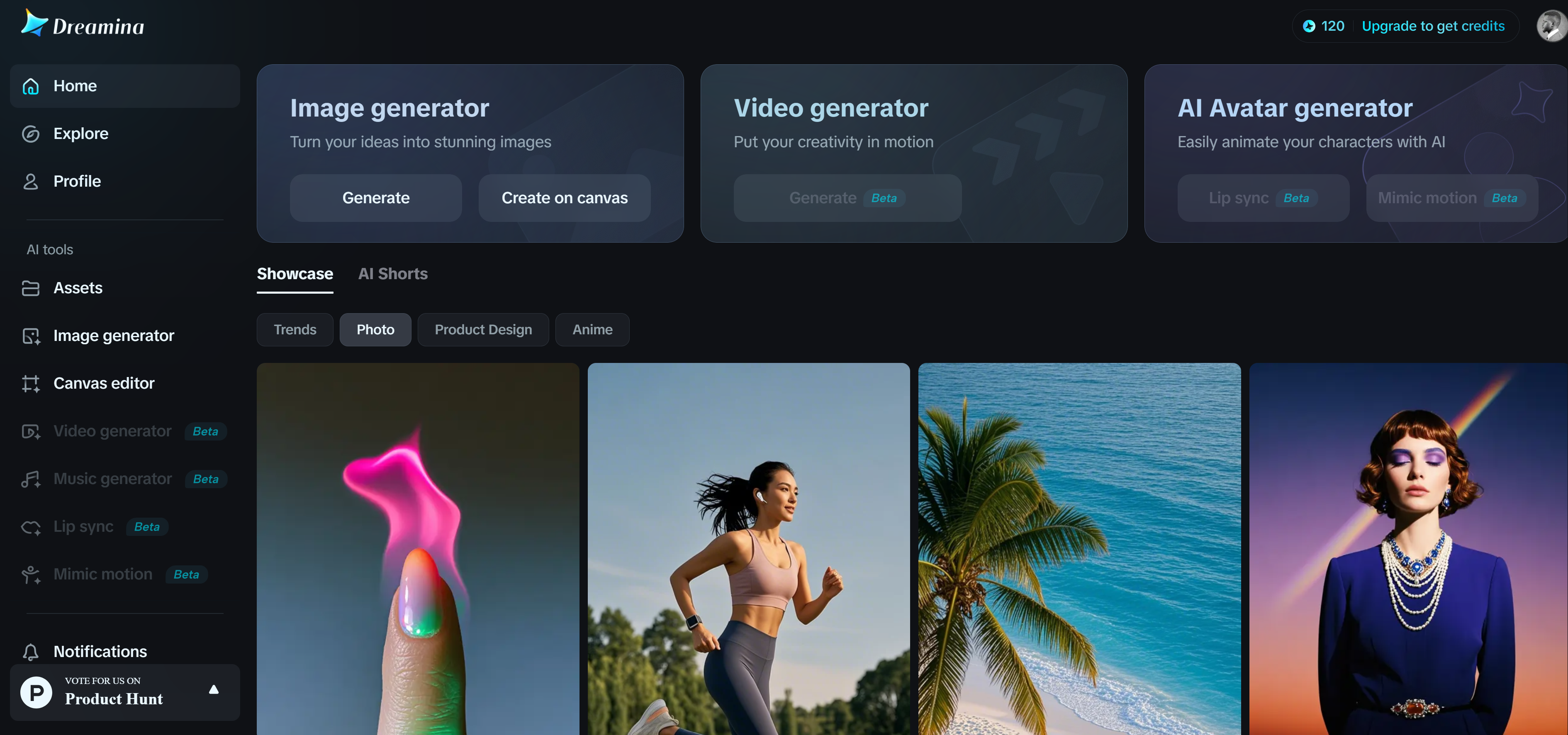 Dreamina's raffle online homepage