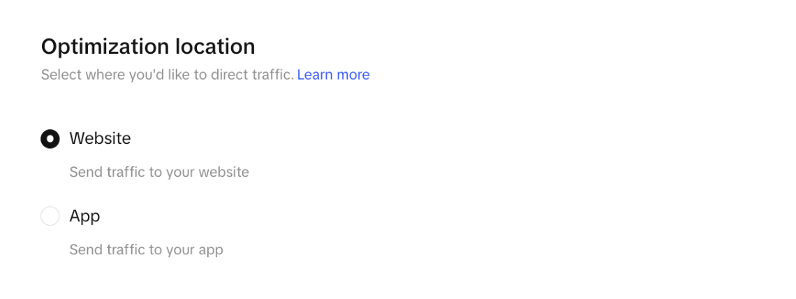 Build an ad group for the ad on TikTok