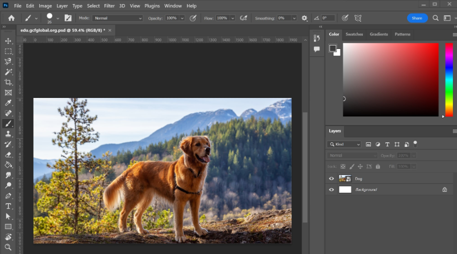 Adobe Photoshop