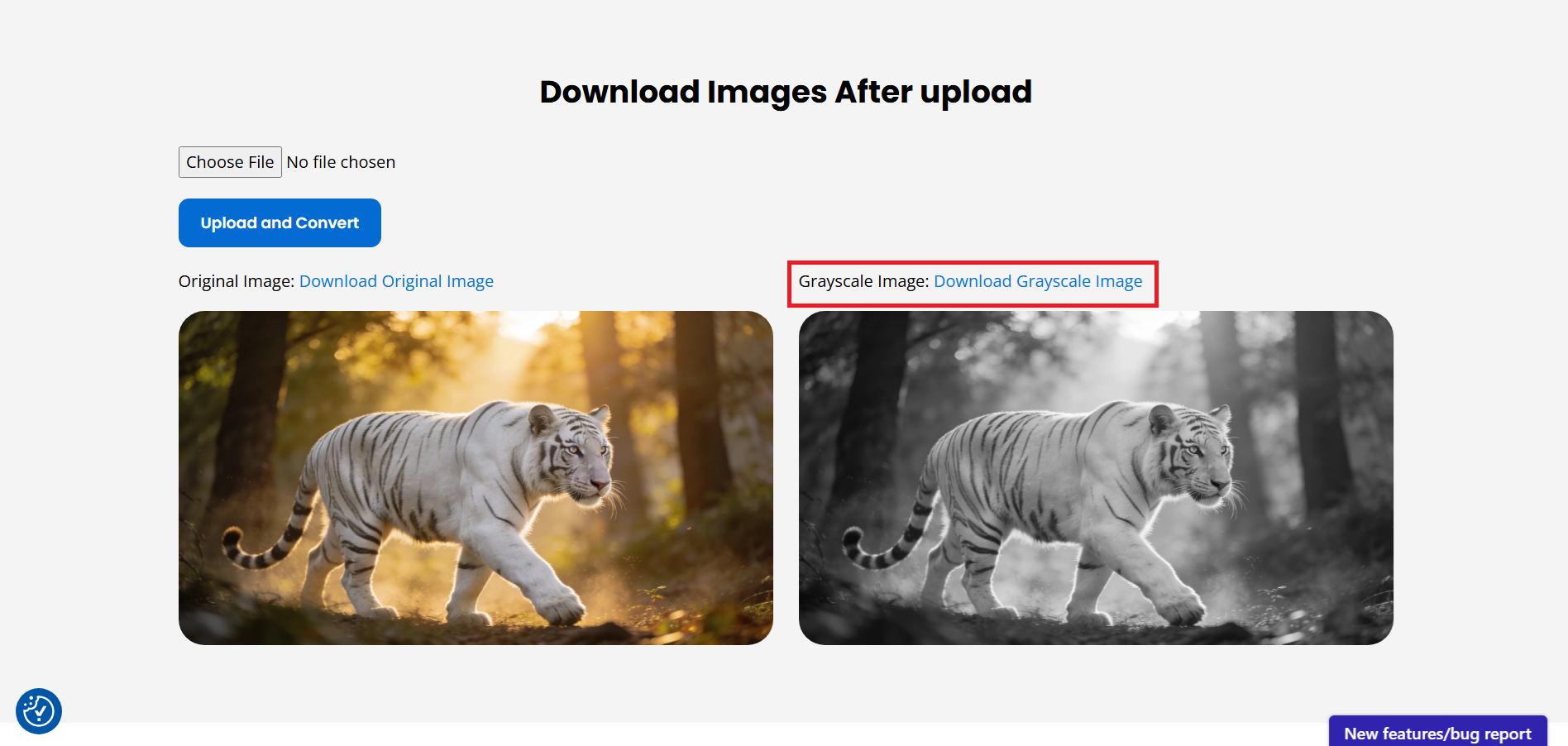 Baixe a imagem em tons de cinza