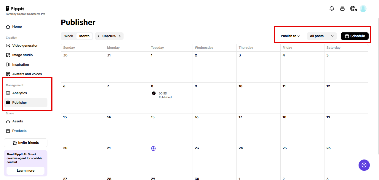 Auto publisher in Pippit