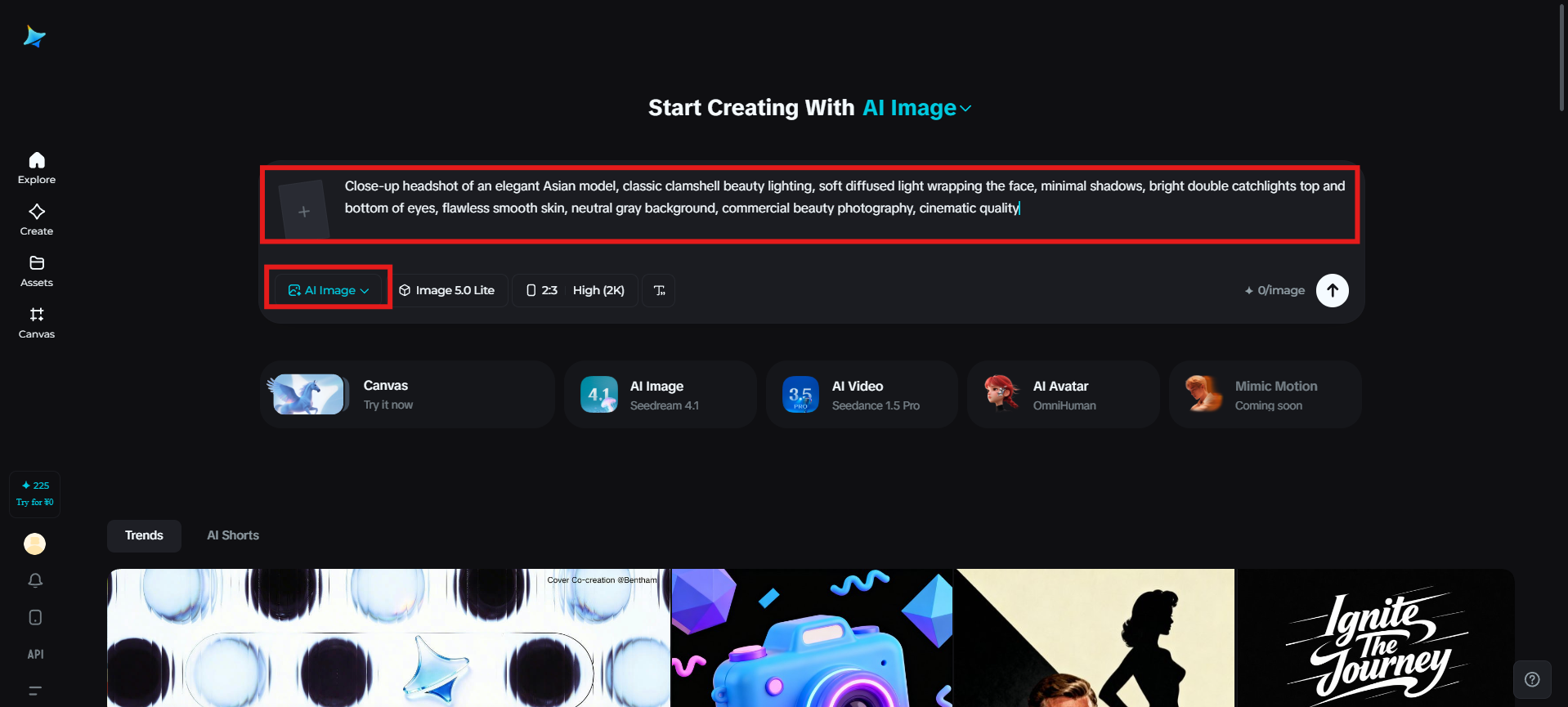 Introduceți promptul